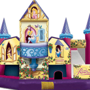 Disney Princess 5 in 1